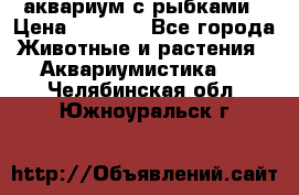 аквариум с рыбками › Цена ­ 1 000 - Все города Животные и растения » Аквариумистика   . Челябинская обл.,Южноуральск г.